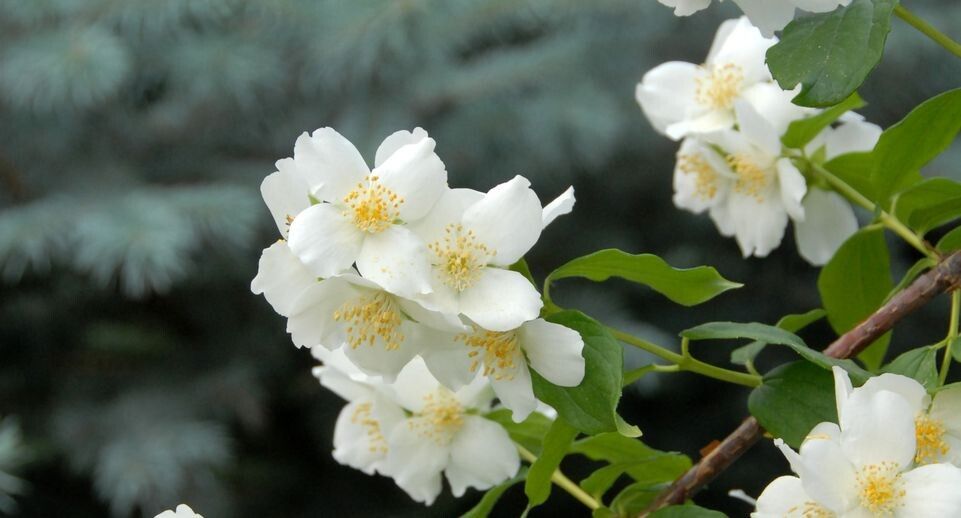 ��������� �����: ����� ����� � ����������� ������