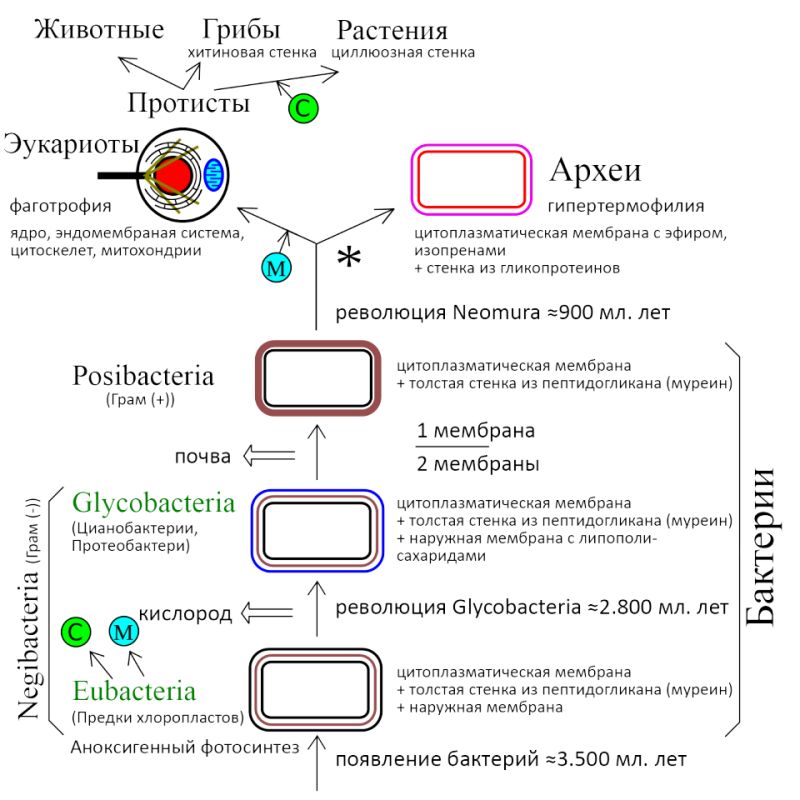 �����: ���������� ��������, ����������� ��� ������