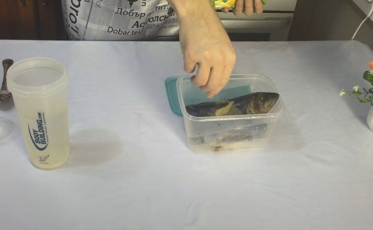 ��� ���������� ������� ����: ������� �������