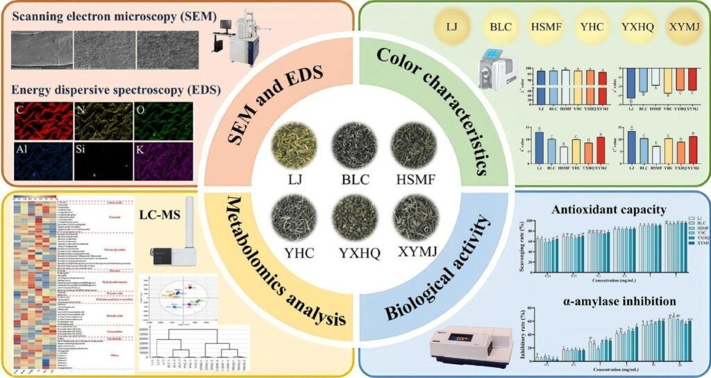 ����� �������� ��� � ��� ����������������