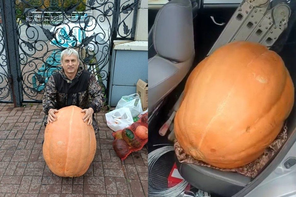 � ������������ ��������� ����� ����� ����� 55 �����������: ��������� ������