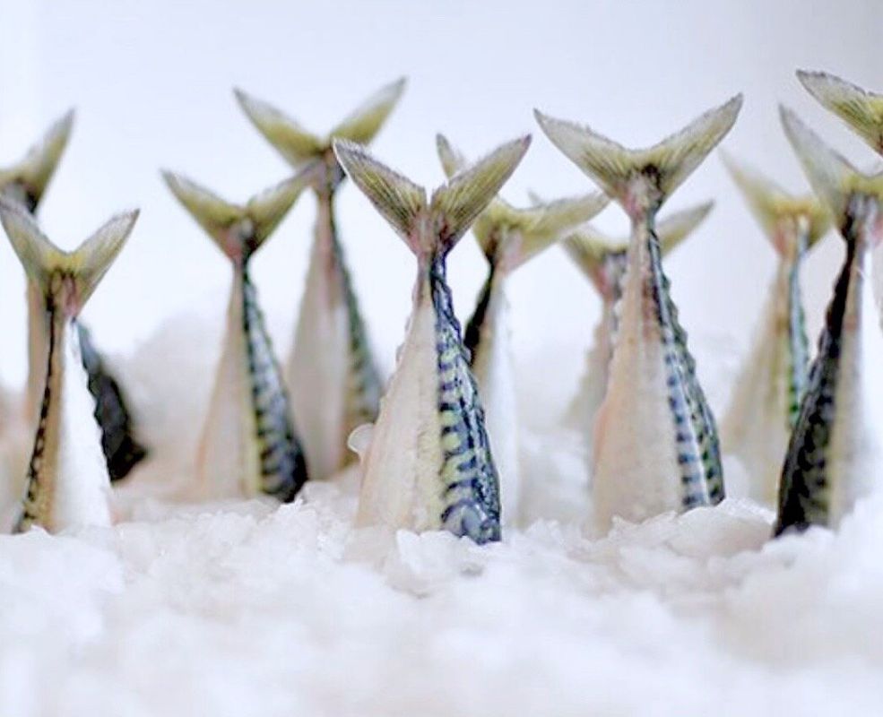 ��� ��������� ������ ����: ������� � ������