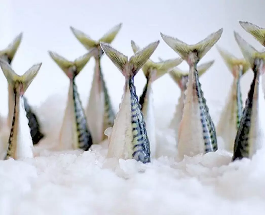 Как правильно жарить рыбу: секреты и советы