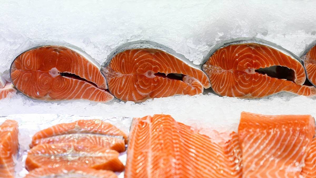 � ����� ����� �� ���� ����� ���������� ���������: �������� ��������� �� �����