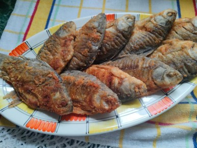 ��� ������ ��������� ����: ������ ��� ���������� �����