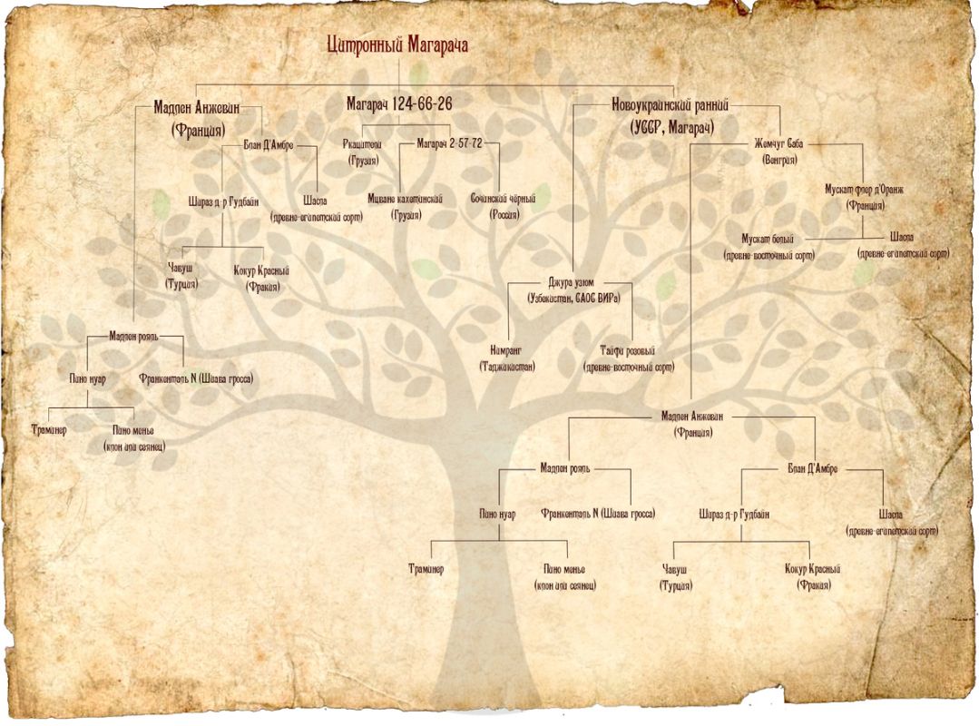 ��������� ��������: �������������� ������� � ����������� ������������