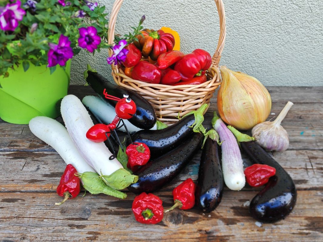 ��� ����������� ������� ��������� �� ���������� � ��������� ������