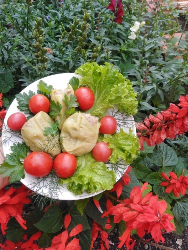 ��������� ������������� �����: ����� ������ �� ������� �����