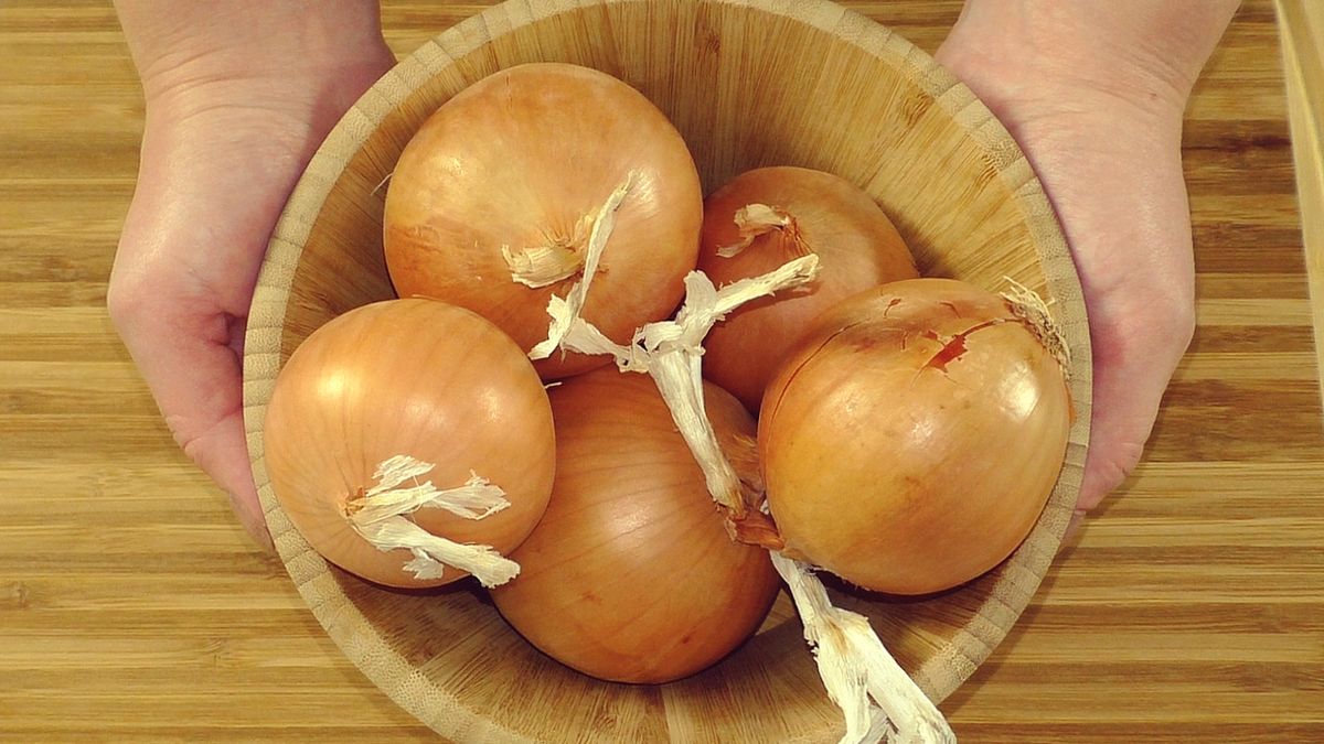 ��� ������ ������������ ��� � ����: ��������� ������� ��� ������ �������