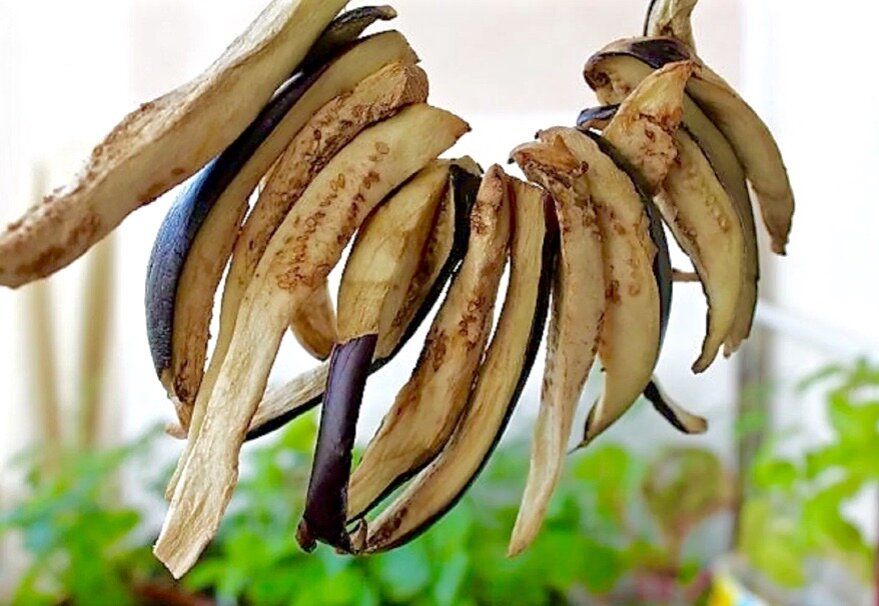 ������� ����� � ������: ��� ��������� ���� ���� �� ��� ����