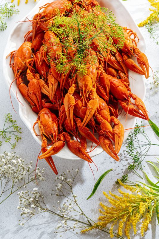 ���������������� �������� ����������: �� ����� �� ����