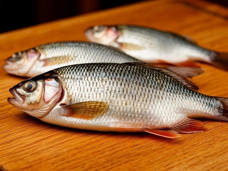 �����: ���� ������� ��� �������� �������?