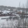 ��� ������� ��� � �������� ����: ������ � �������