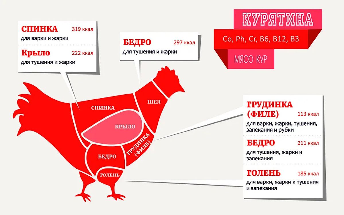 Как выбрать идеальные части курицы для ваших блюд: советы и рекомендации
