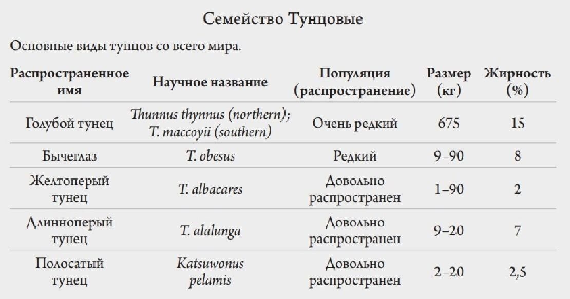 Тунец и скумбрия: мир морских хищников