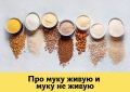 ��� ����� �� ������� ���� ��� �������� �������