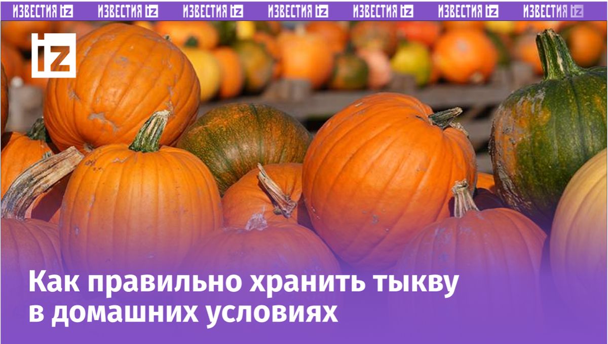 Тыковая сказка осени: как выбрать идеальную тыкву и сохранить все её полезные свойства