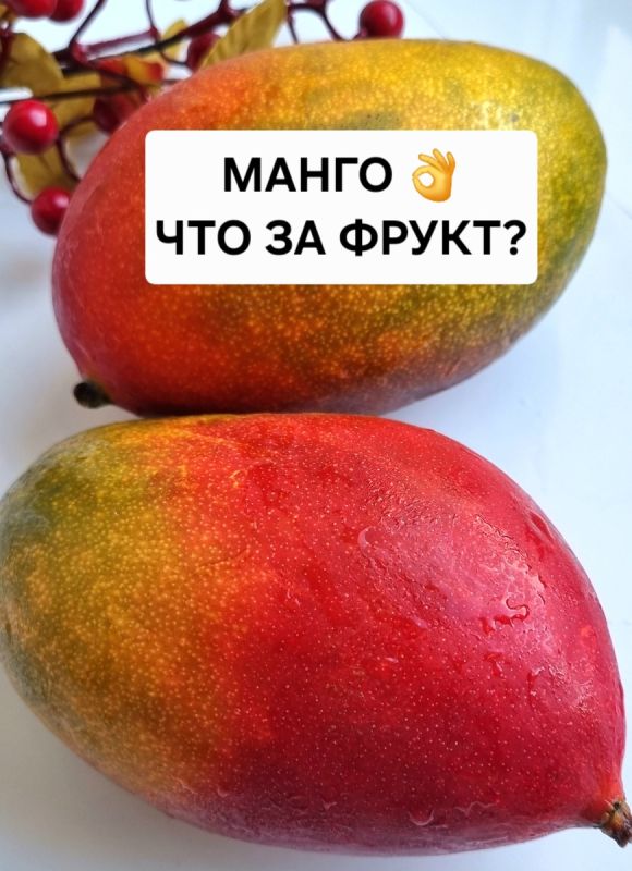 Манго: фрукт-солнце с древней историей и невероятными свойствами