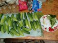 Как правильно мариновать огурцы на зиму: секреты и рецепты