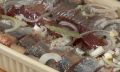 Секреты северной селедки: быстрый рецепт для вашего стола